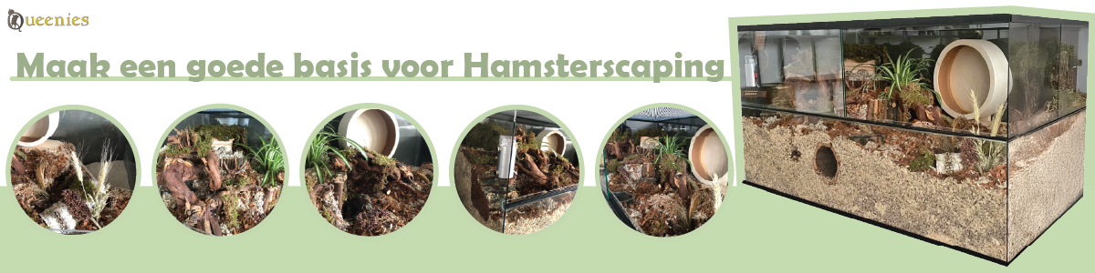 Hamsterscaping benodigdheden